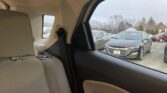View from the back seat of a beige car, looking out at a parking lot with several cars, including a gray Chevrolet in the foreground.