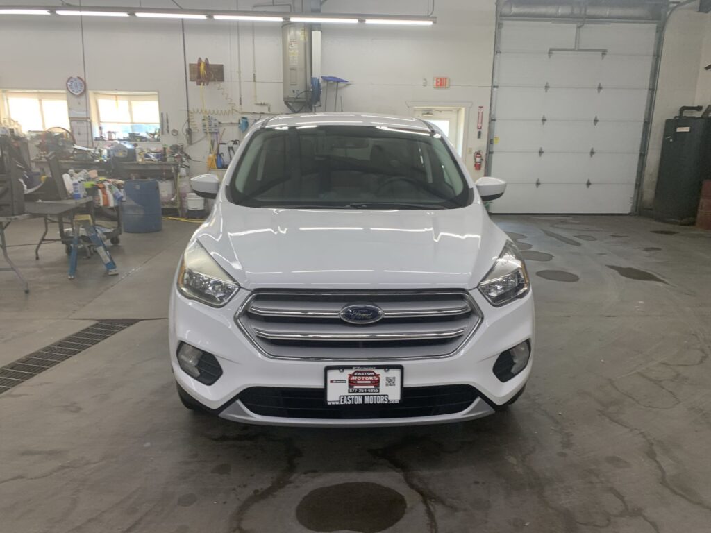 2019 FORD ESCAPE SE