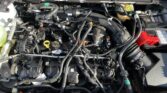 Dense network of hoses, wires, and engine components under a car's open hood.
